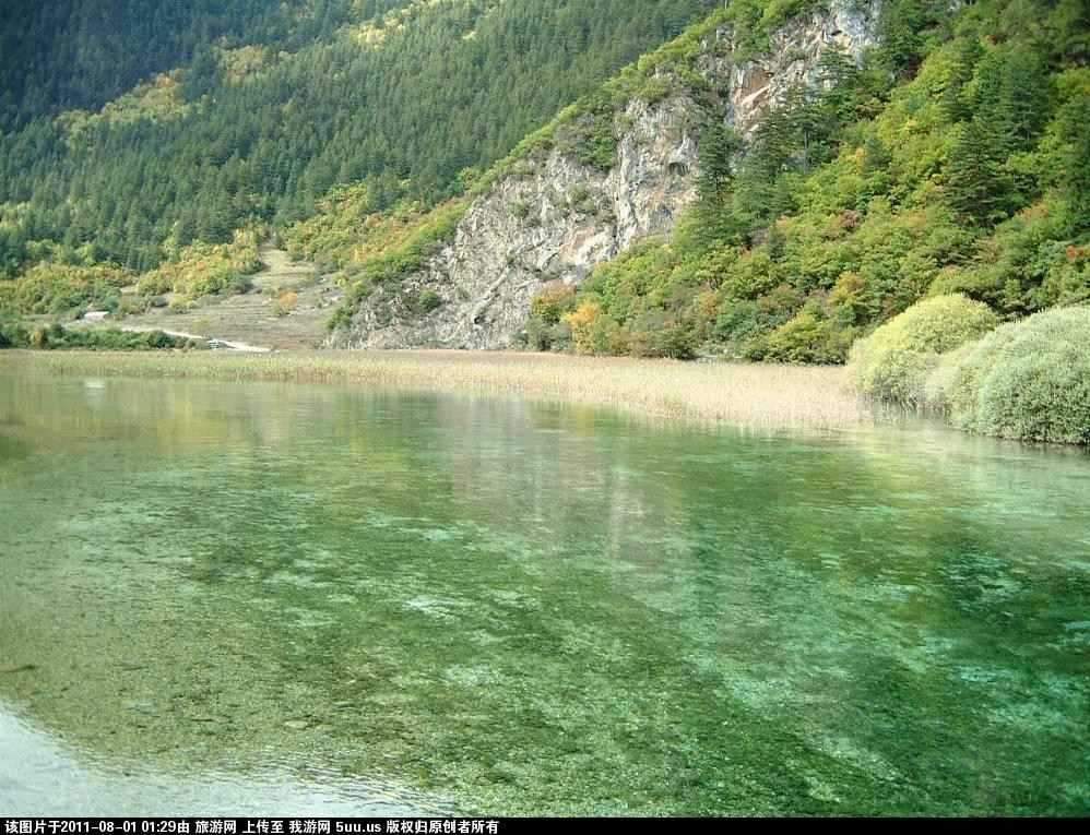 芦苇海 1.jpg