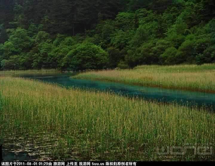 芦苇海.jpg