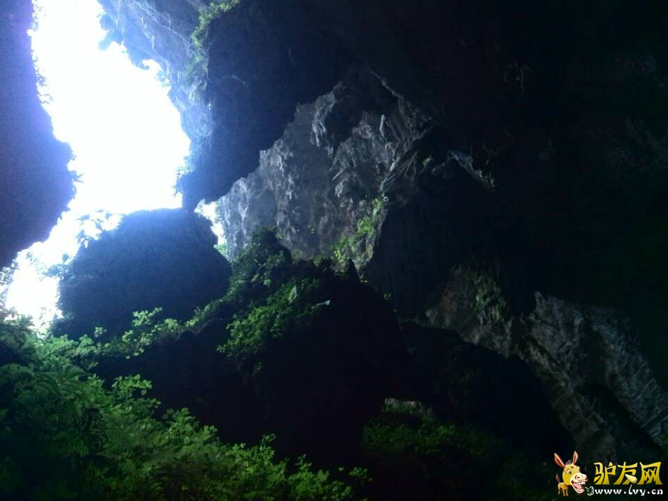 QQ图片20131210004659.jpg